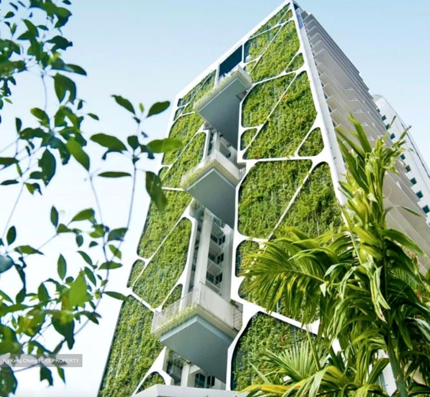 Tree House (D23), Condominium #561643361